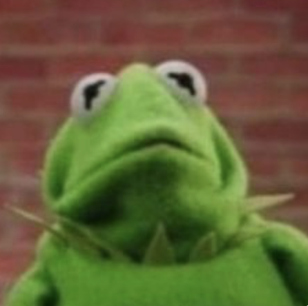 An image of kermit the frog looking frazzled.